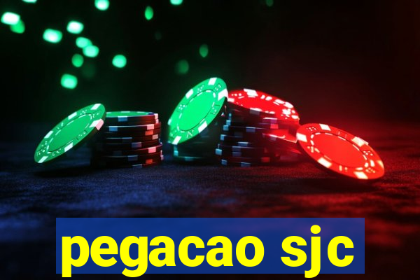 pegacao sjc